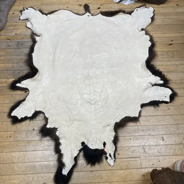 IMG_7234 Buffalo Hide #3