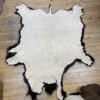 Buffalo Hide #4