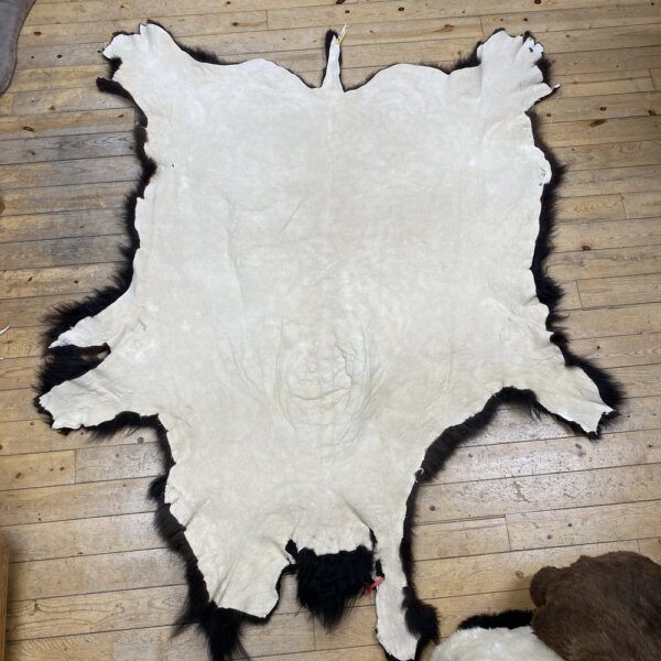 IMG_7236 Buffalo Hide #4
