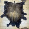Buffalo Hide #4