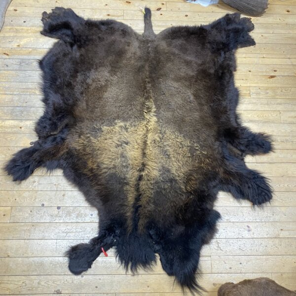 IMG_7238 Buffalo Hide #4