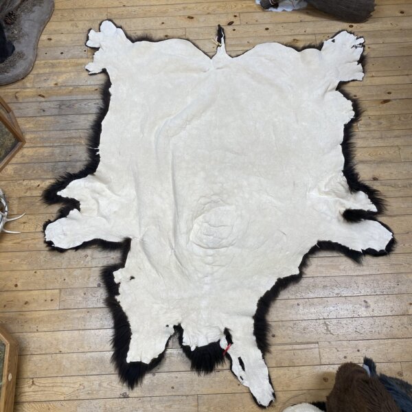IMG_7240 Buffalo Hide #5