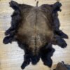 Buffalo Hide #5