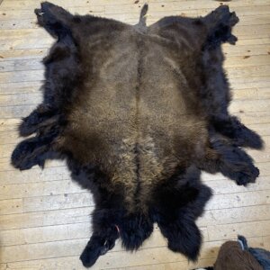 Buffalo Hide #5