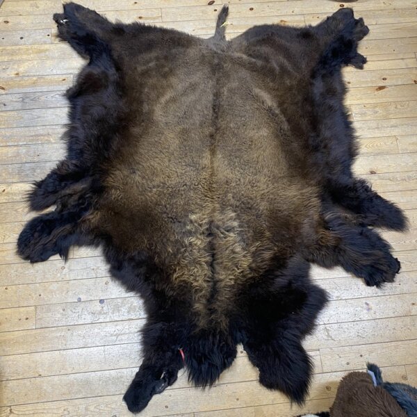 IMG_7242 Buffalo Hide #5