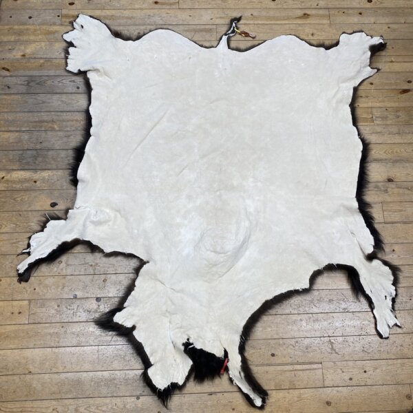 IMG_7246 Buffalo Hide #6