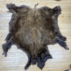 Buffalo Hide #6