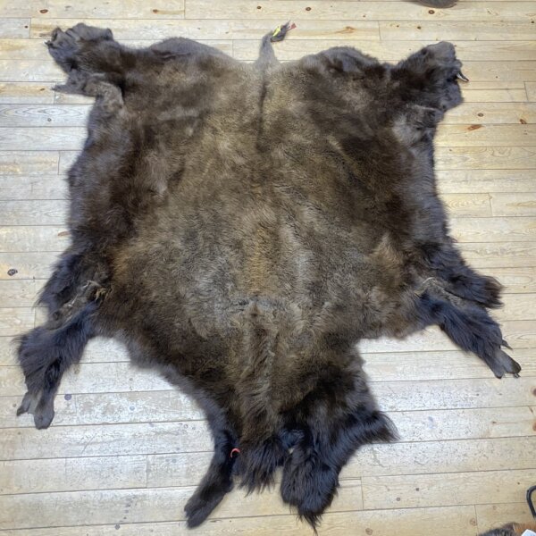IMG_7249 Buffalo Hide #6