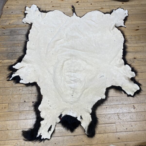 IMG_7252 Buffalo Hide #7