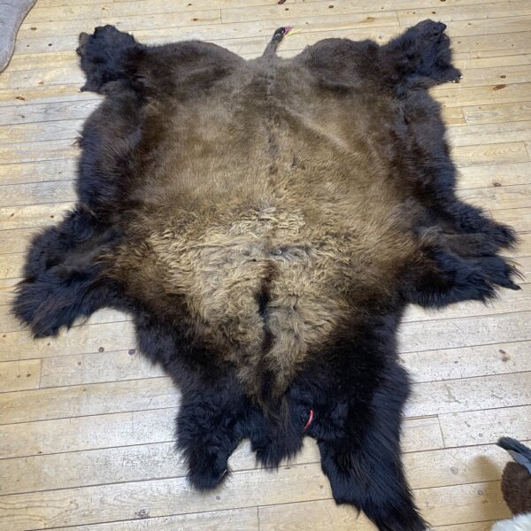 IMG_7253 Buffalo Hide #7