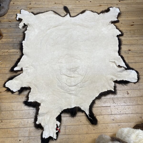 IMG_7258 Buffalo Hide #8