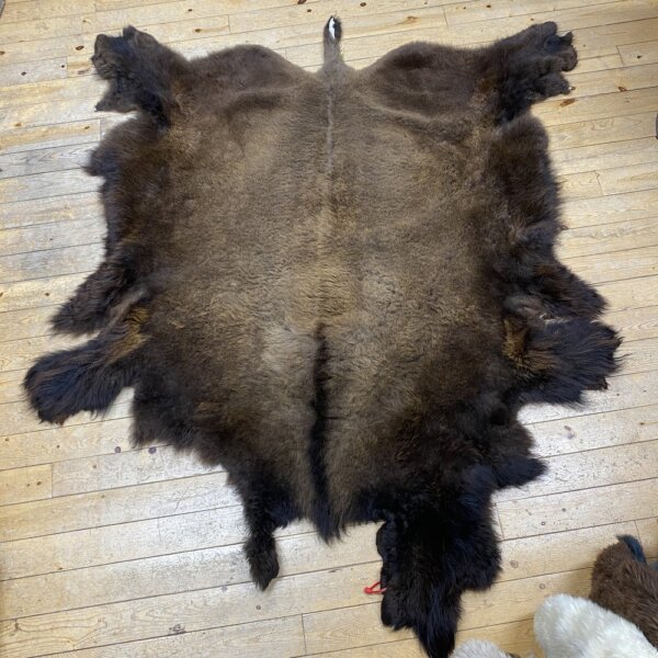 IMG_7261 Buffalo Hide #8