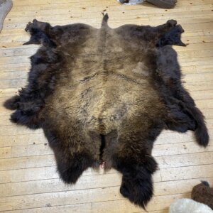 Buffalo Hide #10