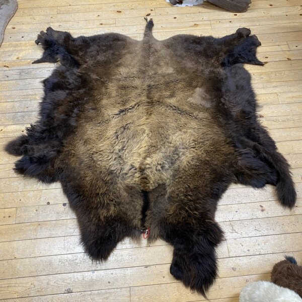 IMG_7270 Buffalo Hide #10