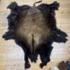 Buffalo Hide #11