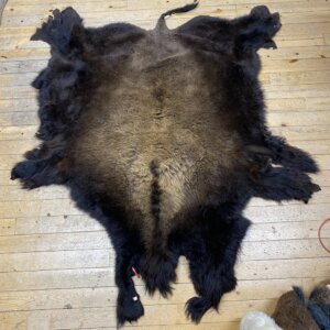 Buffalo Hide #11