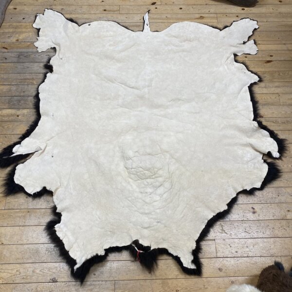 IMG_7295 Buffalo Hide #17