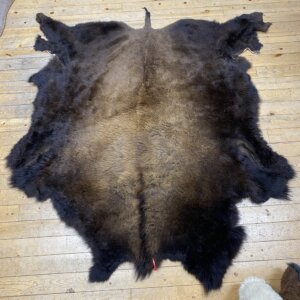 Buffalo Hide #17