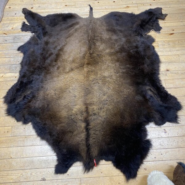 IMG_7296 Buffalo Hide #17