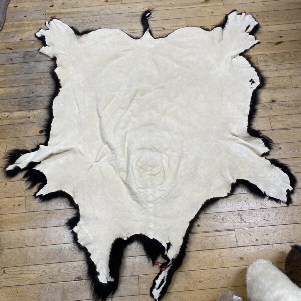 IMG_7302 Buffalo hide #19