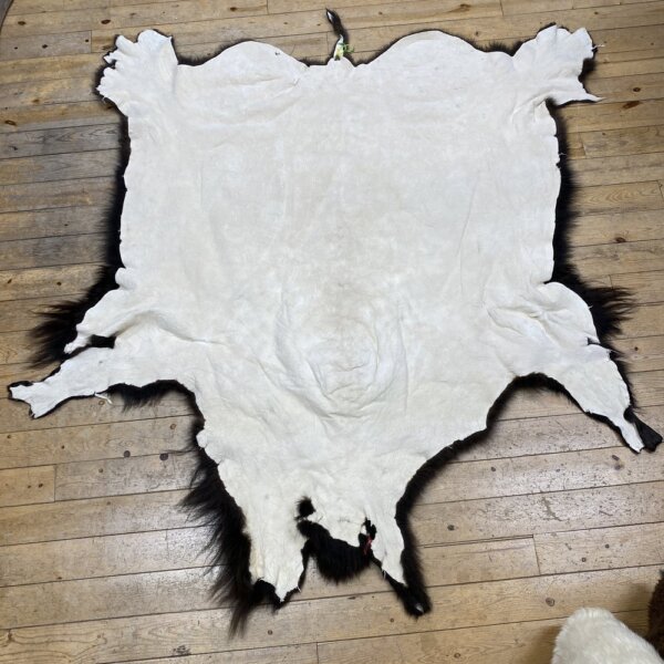 IMG_7308 Buffalo hide #20