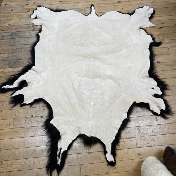 Buffalo Hide #23