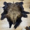 Buffalo Hide #23