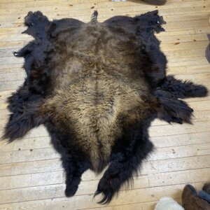 Buffalo Hide #23