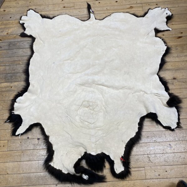 IMG_7322 Buffalo Hide #24
