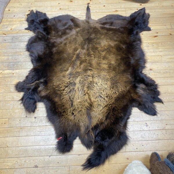 IMG_7323 Buffalo Hide #24