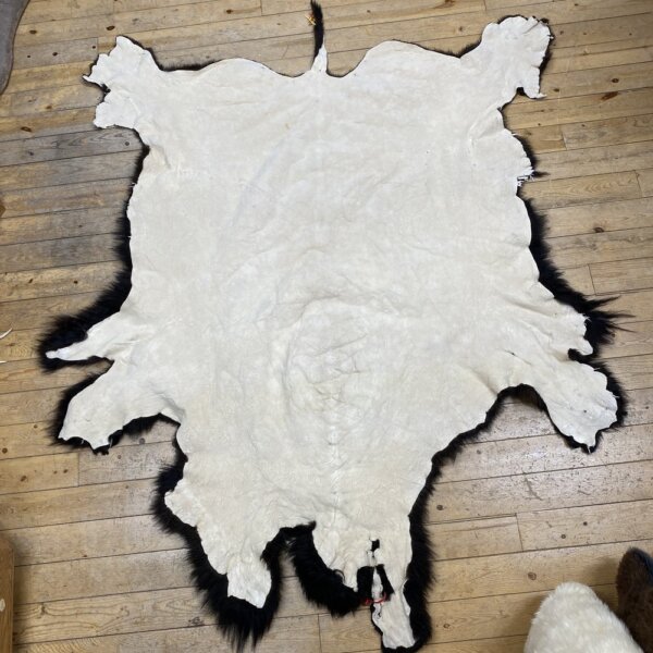 IMG_7329 Buffalo Hide #27