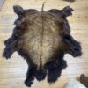 Buffalo Hide #27