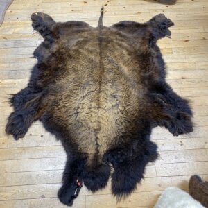 Buffalo Hide #27