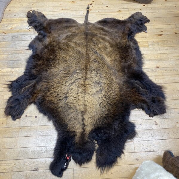 IMG_7336 Buffalo Hide #27