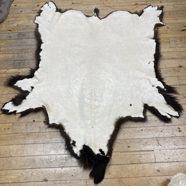 IMG_7358 Buffalo hide #105