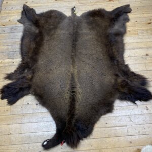 Buffalo hide #105