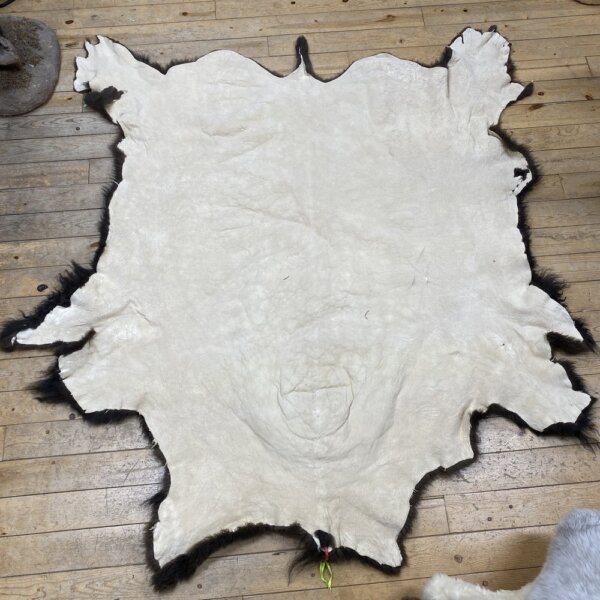 IMG_7368 Buffalo Hide #2