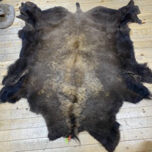 Buffalo Hide #2