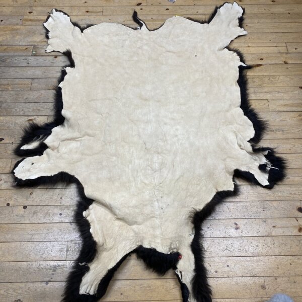 IMG_9881 Buffalo Hide #14