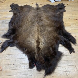 Buffalo Hide #22