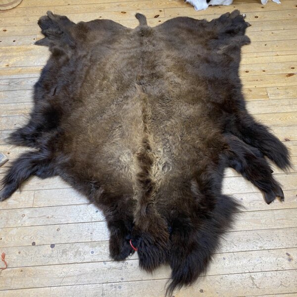 Buffalo Hide #22