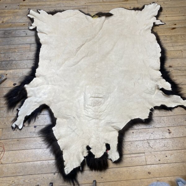 Buffalo Hide #22