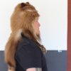 (Brown) Black Bear Mountain Man Fur Hat with Face and Feet