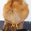 Red Fox Mountain Man Fur Hat