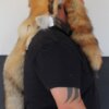 Red Fox Mountain Man Fur Hat with 3 Tails